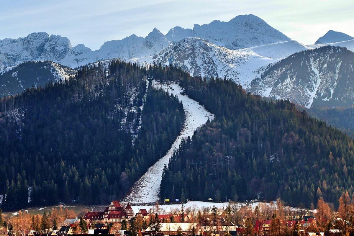 Nosal Ski & Wine Apartments Zakopane Exterior foto